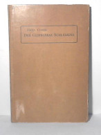 Der Gebirgsbau Schlesiens Und Die Stellung Seiner Bodenschätze Von Cloos, Hans - Non Classés