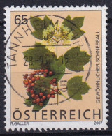 GEWÖHNLICHER SCHNEEBALL  ÖSTERREICH R. GALLER 2007 CACHET TANNHEIM TIROL - Oblitérés