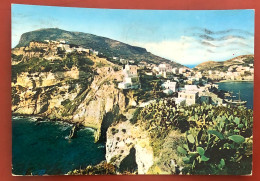 PONZA (L'isola Di Roma) La Parata E I Due Mari - 1960 (c271) - Latina