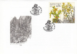 FDC SLOVAKIA 691 - FDC