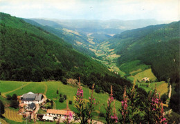 FRANCE - Les Vosges Pittoresques - La Haute Vallée De La Liepvrette Depuis Le Col Des Bagenelle - Carte Postale Ancienne - Lièpvre