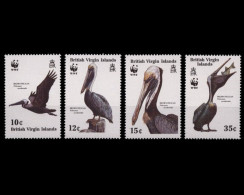 Jungferninseln, Vögel, MiNr. 637-640, Postfrisch - Sonstige - Amerika