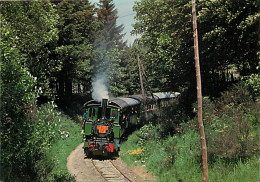 Trains - C.F.R Haut Vivarais - Train Vapeur Arrivant Au Chambon Sur Lignon - Carte Neuve - CPM - Voir Scans Recto-Verso - Trains