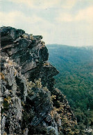 61 - La Roche D'Oëtre - Le Profil Humain - Curiosité Géologique - Carte Neuve - CPM - Voir Scans Recto-Verso - Other & Unclassified