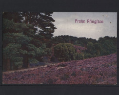 Frohe Pfingsten Aus Der Lüneburger Heide - Pentecost