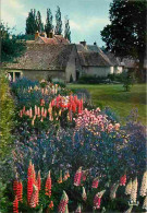 18 - Apremont - Le Parc Floral - Jardin De Printennps - Fleurs - Lupins - Carte Neuve - CPM - Voir Scans Recto-Verso - Altri & Non Classificati