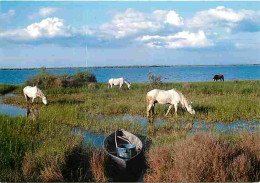 Animaux - Chevaux - Camargue - Chevaux Au Bord De L'Etang - CPM - Voir Scans Recto-Verso - Cavalli