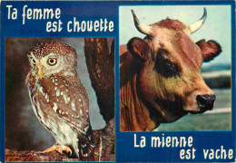 Animaux - Vaches - Carte à Message Humoristique - Chouette - CPM - Voir Scans Recto-Verso - Vaches