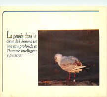 Animaux - Oiseaux - Oiseaux De Mer - CPM - Voir Scans Recto-Verso - Oiseaux