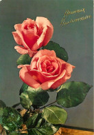 Fleurs - CPM - Voir Scans Recto-Verso - Blumen