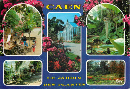 CAEN Le Jardin Des Plantes 6(scan Recto-verso) MC2401 - Caen