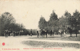 Forêt De Tronçais * Le Lancer Au Rond Point * Chasse à Courre * Vénerie - Autres & Non Classés