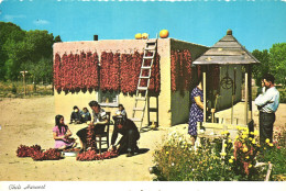 FOLKLORE, PEOPLE, INDIANS, CHILI, ARCHITECTURE, WELL, SOUTHWEST, MEXICO, POSTCARD - Personaggi