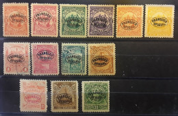 EL SALVADOR, 1896 , Service , Lot De 13 Timbres Neufs / O Surchargés FRANQUEO OFICIAL , TB - El Salvador