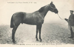 Hippisme * La France Chevaline N°56 1909 * Concours Centrale Hippique * Cheval FRANCOEUR Bai Brun - Horse Show
