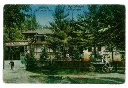 RO 35 - 903 POIANA COBILEI, Maramures, Romania - Old Postcard - Unused - Rumania