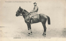 Hippisme * La France Chevaline N°14 1909 * Concours Centrale Hippique * Cheval FORSAN Bai - Hípica