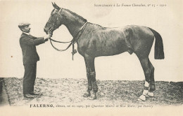 Hippisme * La France Chevaline N°15 1909 * Concours Centrale Hippique * Cheval FALERNO Alezan - Ippica