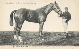 Hippisme * La France Chevaline N°54 1909 * Concours Centrale Hippique * Cheval FLEUR D'EPINE Baie - Hípica