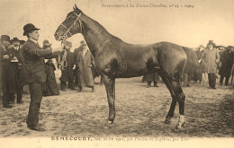 Hippisme * La France Chevaline N°23 1909 * Concours Centrale Hippique * Cheval BEMECOURT Bai - Hípica