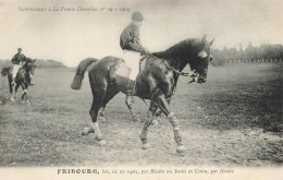 Hippisme * La France Chevaline N°29 1909 * Concours Centrale Hippique * Cheval FRIBOURG Bai Jockey - Ippica