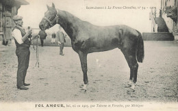 Hippisme * La France Chevaline N°34 1909 * Concours Centrale Hippique * Cheval FOL AMOUR Bai - Ippica