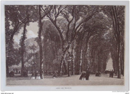 Jardin Des Tuileries - Page Original 1860 - Documenti Storici