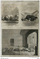 Prière Du Soir Dans Un Konak Turc Pendant Le Rhamadan -  - Turc Du Vieux Parti - Page Original 1860 - Historische Dokumente