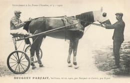 Hippisme * La France Chevaline N°3 1909 * Concours Centrale Hippique * Cheval BOUQUET PARFAIT Bai Brun Jockey - Ippica