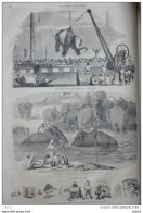 émbarquement D'éléphants - Troupeu D'éléphants à L'abreuvoir - Page Original 1860 - Historische Documenten