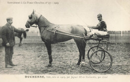 Hippisme * La France Chevaline N°37 1909 * Concours Centrale Hippique * Cheval DUCHESSE Baie Jockey - Hippisme