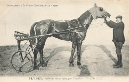 Hippisme * La France Chevaline N°57 1909 * Concours Centrale Hippique * Cheval ELYSEE Bai Brun Jockey - Hippisme