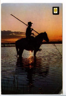 CPSM   10.5 X 15    Bouche-du-Rhône   Camargue Gardian à Cheval  Coucher De Soleil - Otros & Sin Clasificación