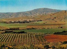 Algérie - Bou-Hanifia - Les Thermes - The Baths - CPM - Voir Scans Recto-Verso - Autres & Non Classés