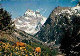 Animaux - Vaches - Alpes Françaises - Symphonie Pastorale - Montagnes - Carte Neuve - CPM - Voir Scans Recto-Verso - Koeien
