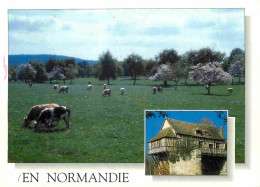 Animaux - Vaches - Normandie - Multivues - CPM - Voir Scans Recto-Verso - Mucche
