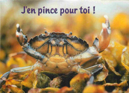 Animaux - Crabe - CPM - Voir Scans Recto-Verso - Vissen & Schaaldieren