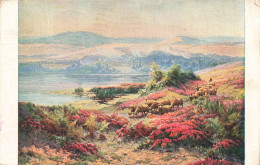 ILLUSTRATEUR - Édouard Pail - Paysage - Colorisé - Carte Postale - Andere & Zonder Classificatie