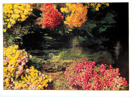 ANDUZE Cascade De Fleurs 25(scan Recto-verso) MD2533 - Anduze