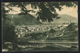 AK Waldkirch / Breisgau, Ortsansicht Von Antonisruh  - Waldkirch