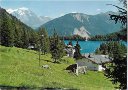 SUISSE - CHAMPEX Et Le GRAND COMBIN - Vue Aérienne - Autres & Non Classés