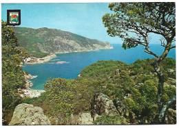 VISTA DESDE AIGUABLAVA.- FORNELLS - COSTA BRAVA.- BAGUR / GIRONA - CATALUNYA. - Gerona