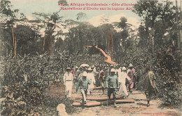 Côte D'Ivoire - Plantation D'Ebobo Sur La Lagune Abi - Costa D'Avorio