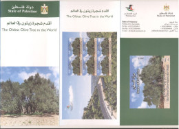 Palestine 2023- The Oldest Olive Tree Flyer & Postcard (English And Arabic) - Palästina