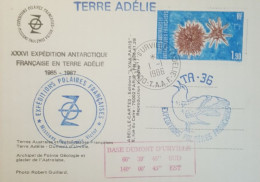 Carte Postale EPF Postée Terre Adélie 1 1 1986 Trois Cachets Et 2 Griffes De L'expédition - Cartas & Documentos