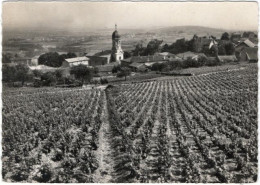 69. Gf. CHIROUBLES. Vue Générale. 45645 - Chiroubles