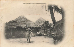 Sénégal - DIOGOUNTOURO - Village Sur Le Sénégal - Senegal