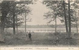 Meillant * La Forêt * L'étang De La Grille - Meillant