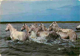 Animaux - Chevaux - Camargue - Chevaux Traversant Un Cours D'eau - Etat Coin Abimé - CPM - Voir Scans Recto-Verso - Cavalli