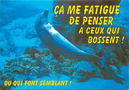 Animaux - Dauphin - Dolphin - Carte à Message - CPM - Carte Neuve - Voir Scans Recto-Verso - Delphine